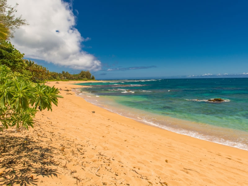 Oceanfront-Setting_800x600_989914