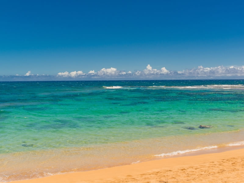 Oceanfront-Setting_800x600_989915